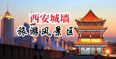 鸡巴啊啊骚逼视频中国陕西-西安城墙旅游风景区